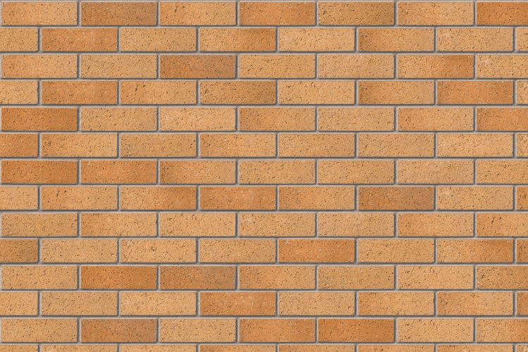 A0657A - Bristol Buff Multi