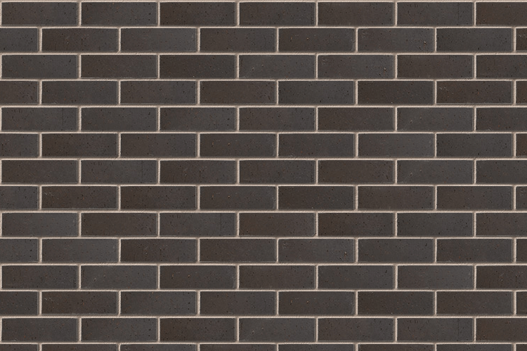 A2221A - Staffordshire Blue Brindle Dragface